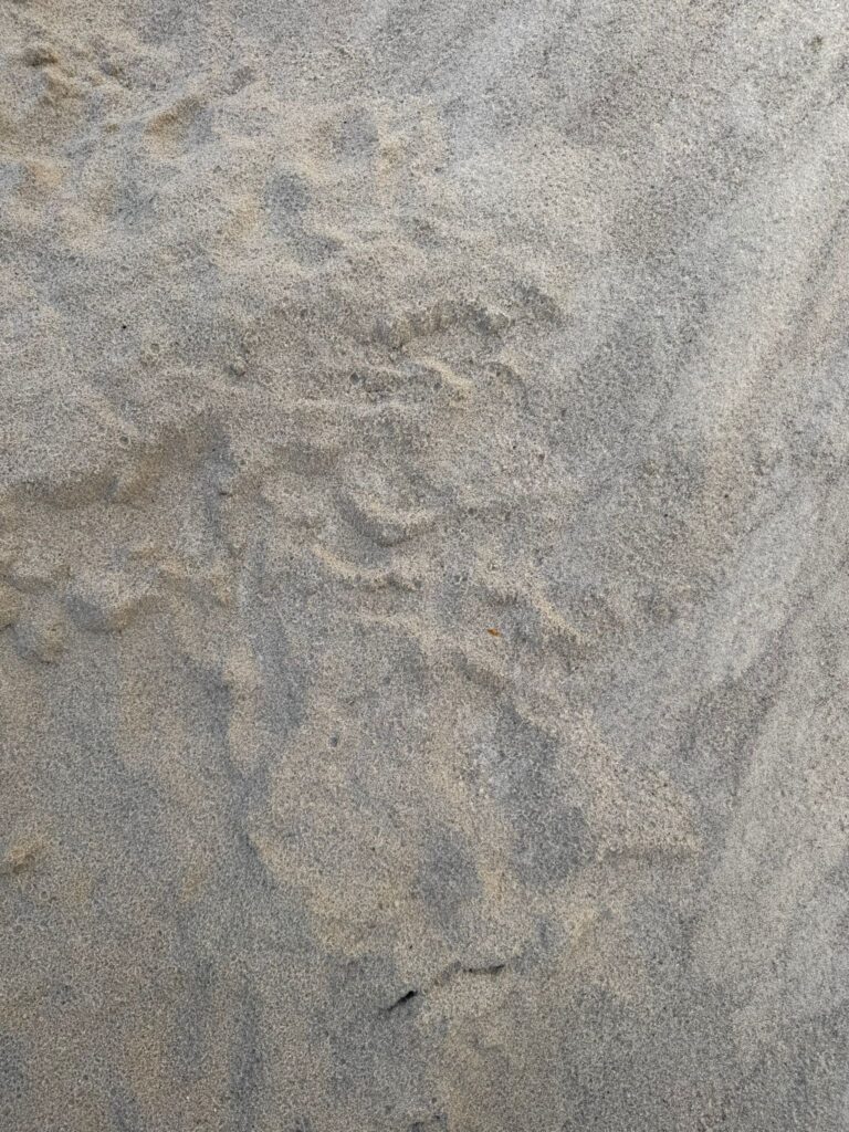 Speelzand Transpo Nuth